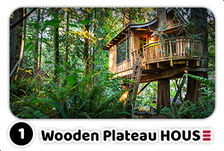 Wood Home Collection  |  Wooden Plateau House