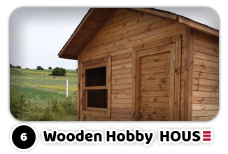 Wood Home Collection  |  Wooden Hobby House